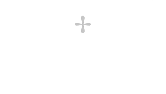 Logo Croix Bonis